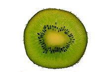 Kiwi groen Producten in de kijker Webshop